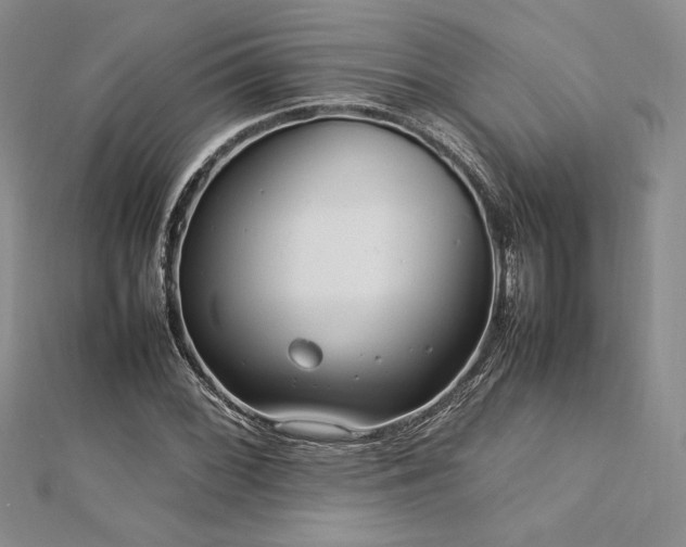 X0000113031068200908271450