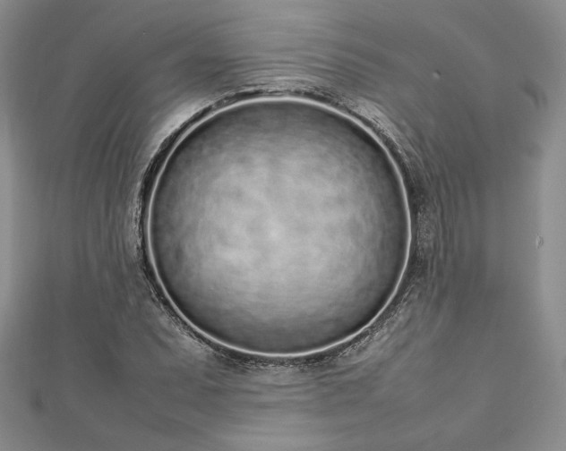 X0000113031071200908271450