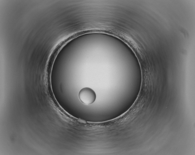 X0000113031072200908271450