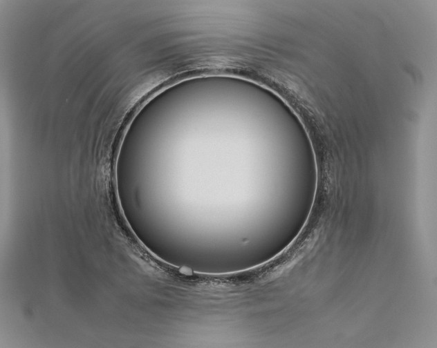 X0000113031073200908271450