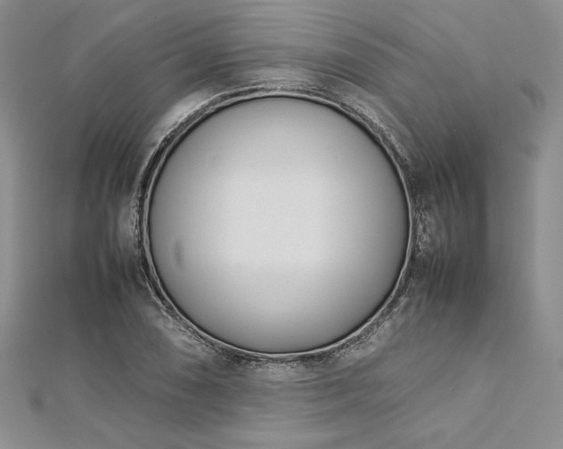 X0000113031074200908271450