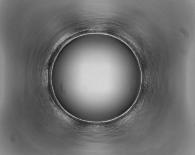 X0000113031075200908271450