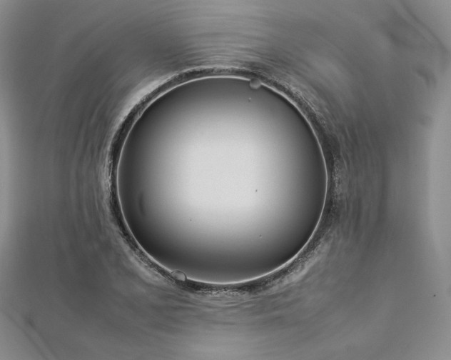 X0000113031077200908271450