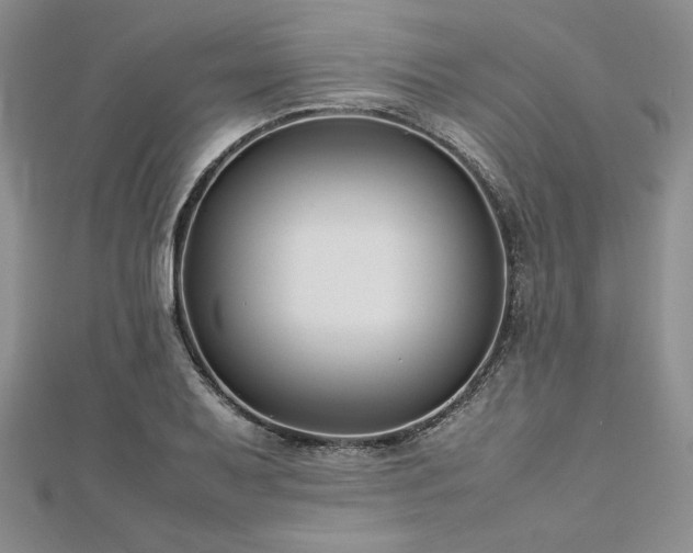 X0000113031079200908271450