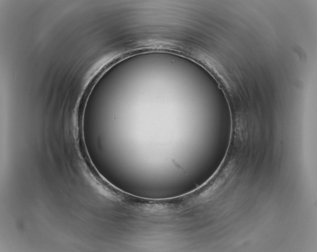 X0000113031082200908271450