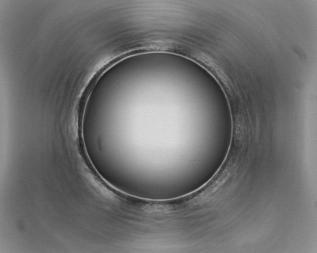 X0000113031083200908271450