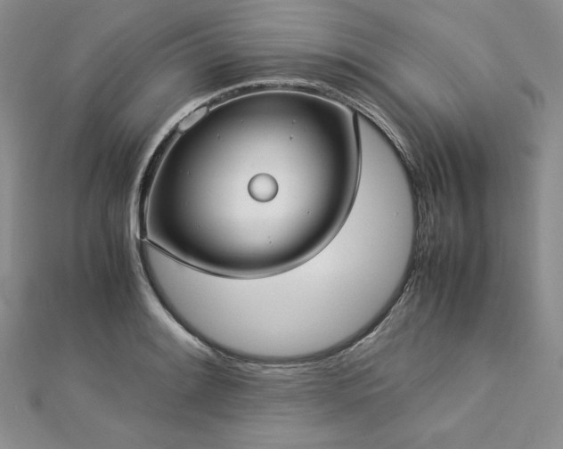 X0000113031084200908271450