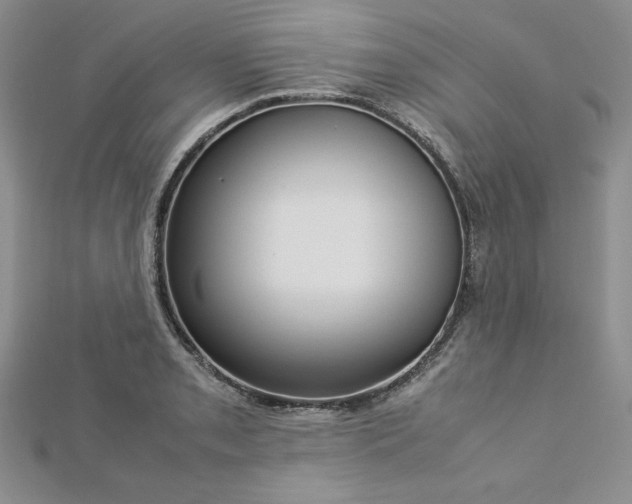 X0000113031085200908271450