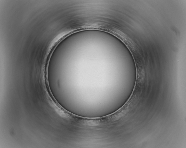 X0000113031086200908271450