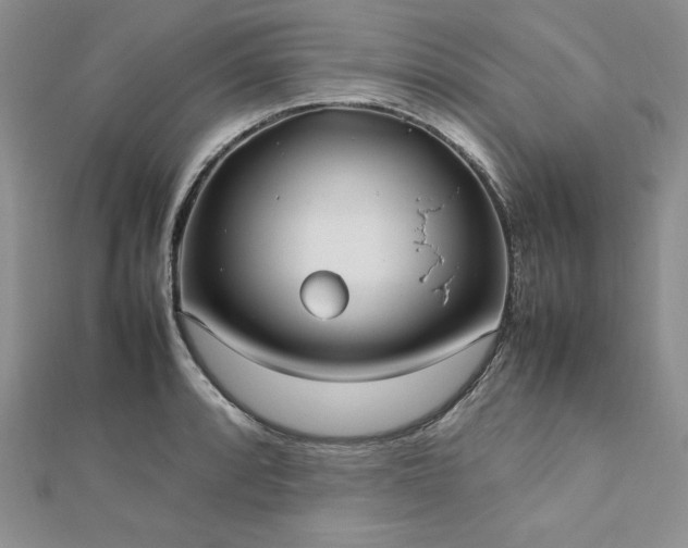 X0000113031088200908271450