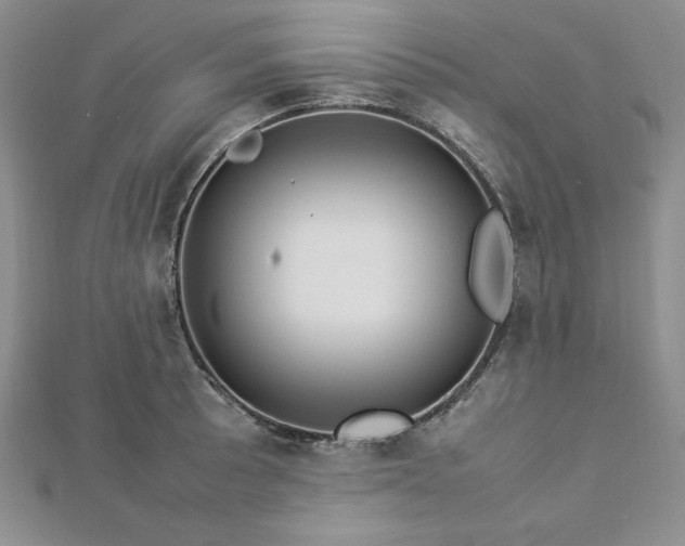 X0000113031089200908271450