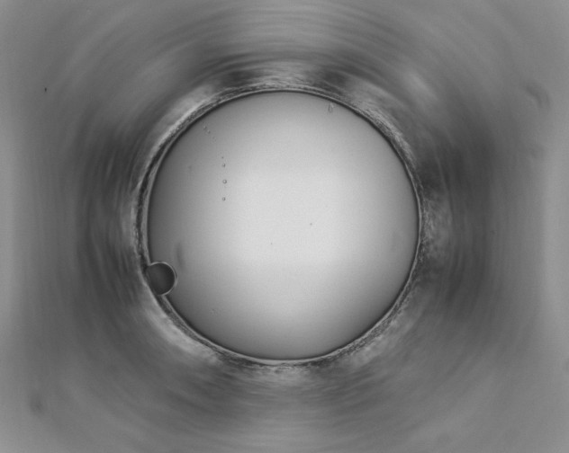 X0000113031090200908271450