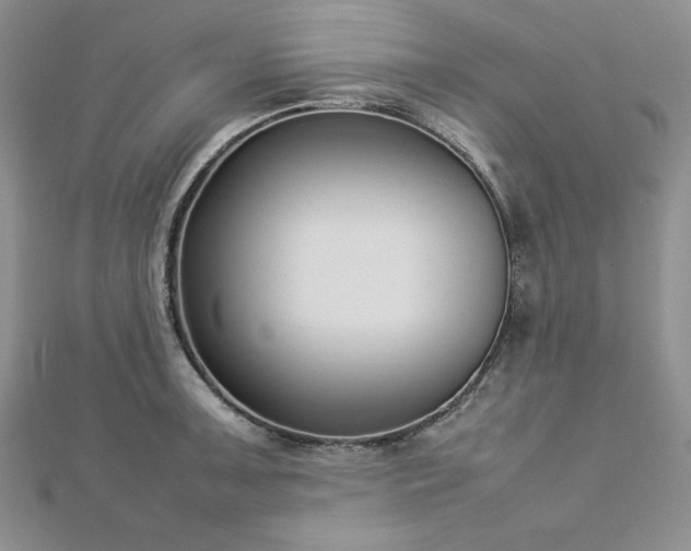 X0000113031091200908271450