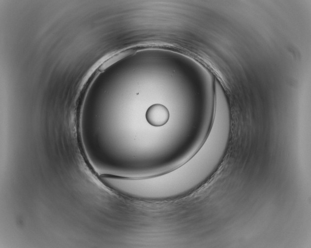 X0000113031092200908271450