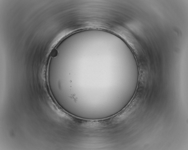 X0000113031094200908271450