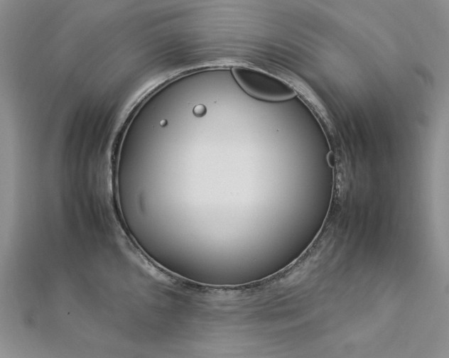 X0000113031096200908271450