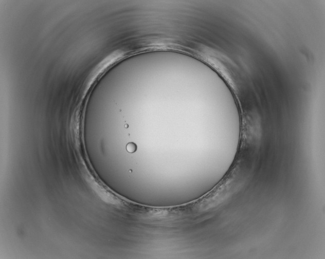 X0000113031098200908271449