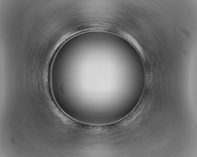 X0000113031099200908271449