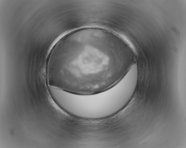 X0000113031100200908271449