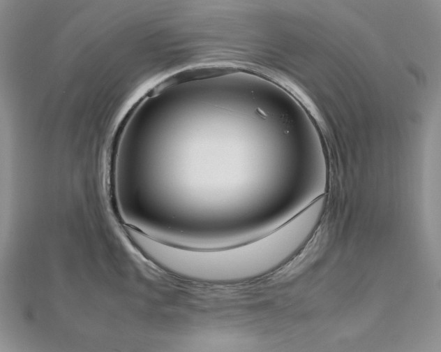 X0000113031101200908271449