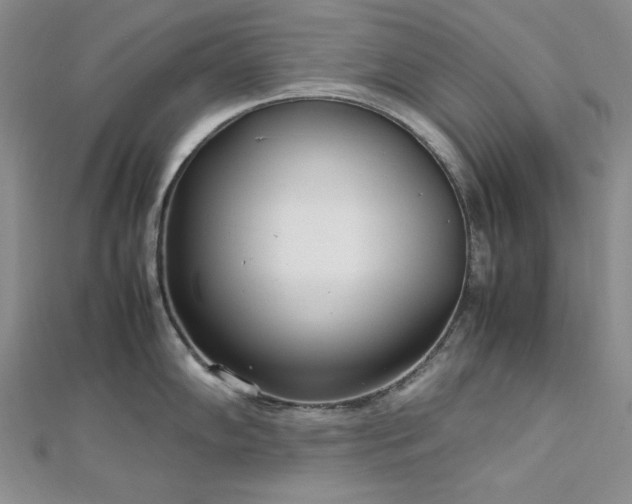 X0000113031102200908271449