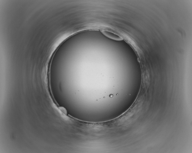 X0000113031103200908271449