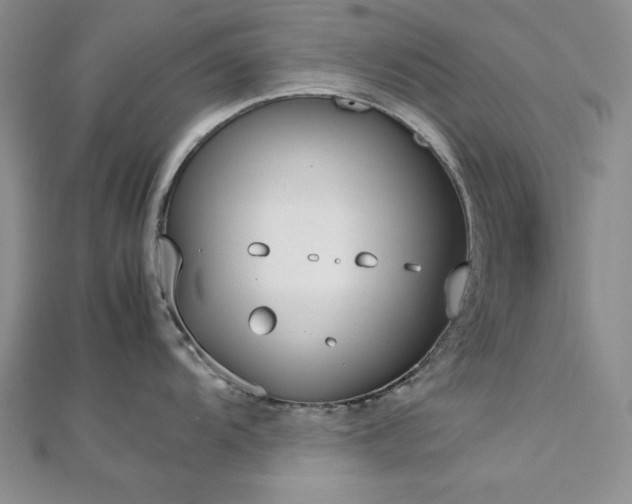 X0000113031104200908271449