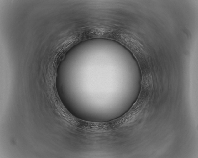 X0000113031105200908271449