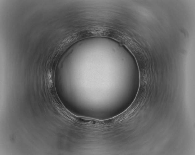 X0000113031106200908271449