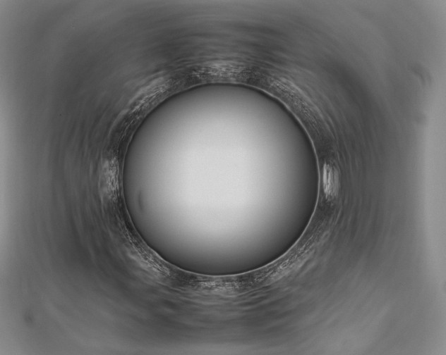 X0000113031107200908271449