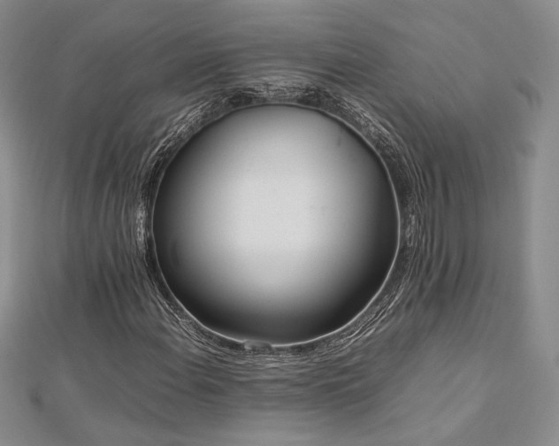 X0000113031108200908271449