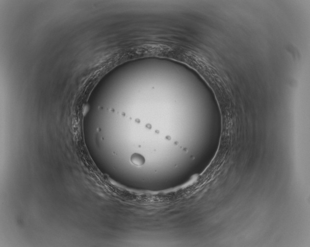 X0000113031109200908271449