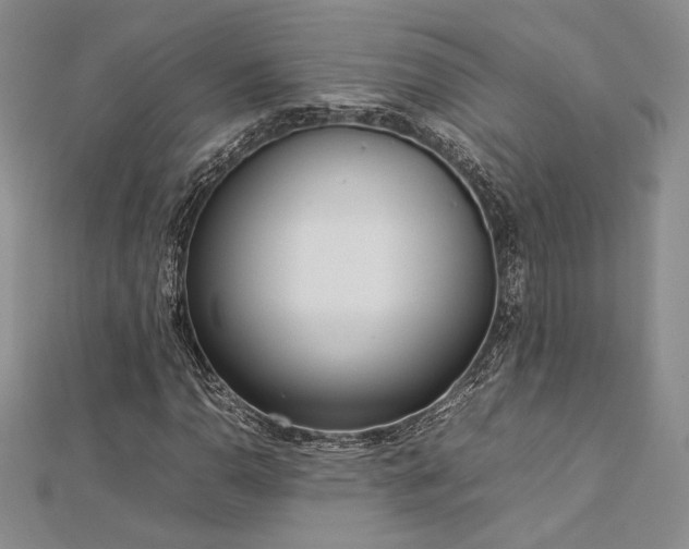 X0000113031110200908271449