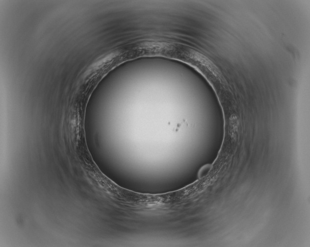 X0000113031111200908271449