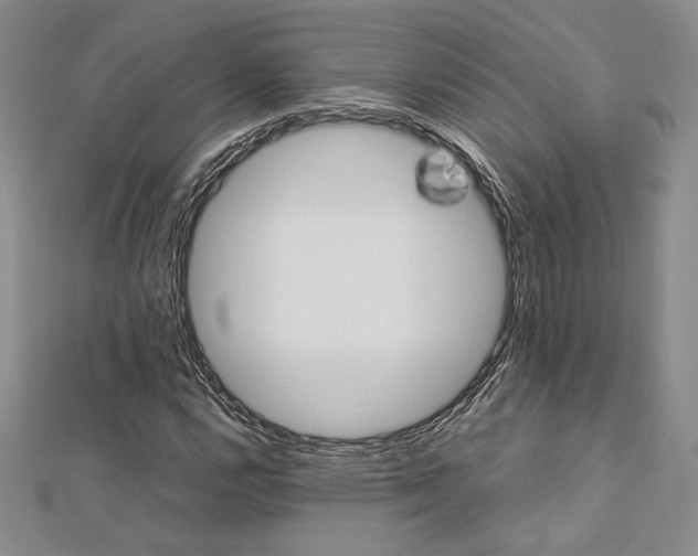 X0000113031112200908271449