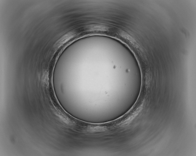 X0000113031113200908271449