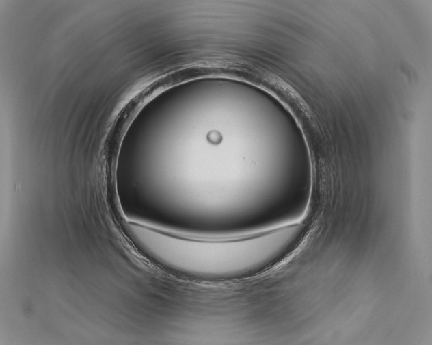 X0000113031114200908271449