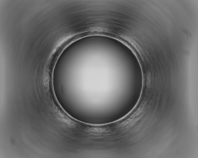 X0000113031115200908271449