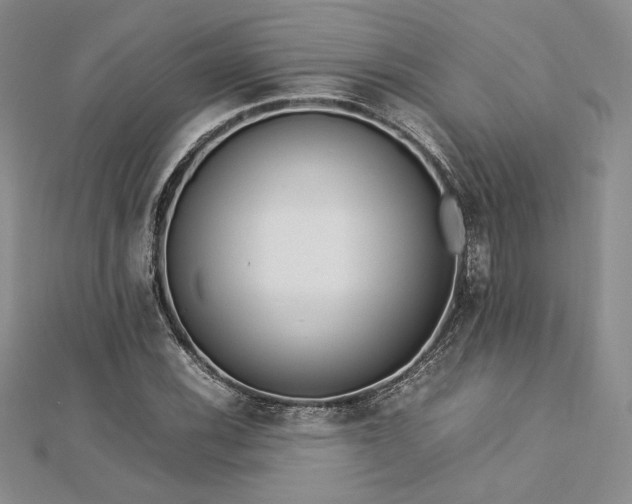 X0000113031116200908271449