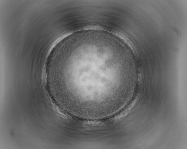 X0000113031117200908271449