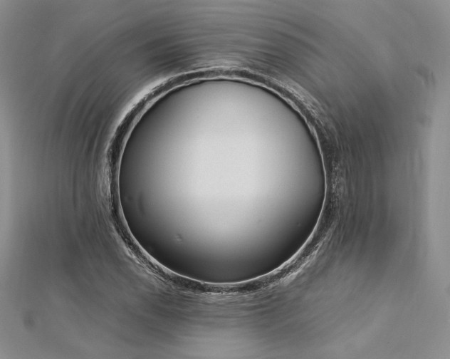 X0000113031118200908271449