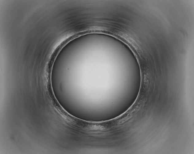 X0000113031119200908271449