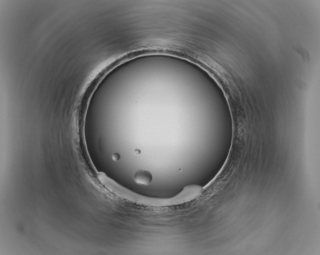 X0000113031120200908271449