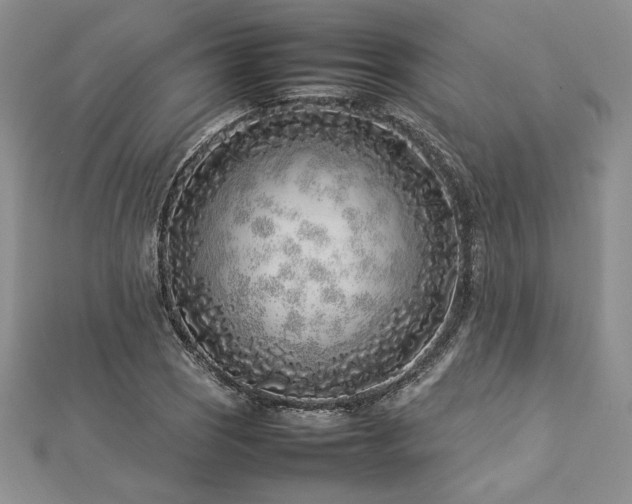 X0000113031121200908271449