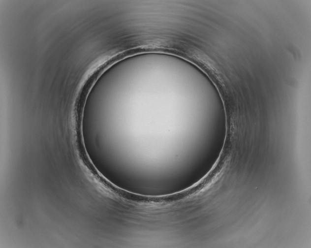 X0000113031122200908271449