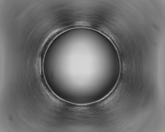 X0000113031123200908271449