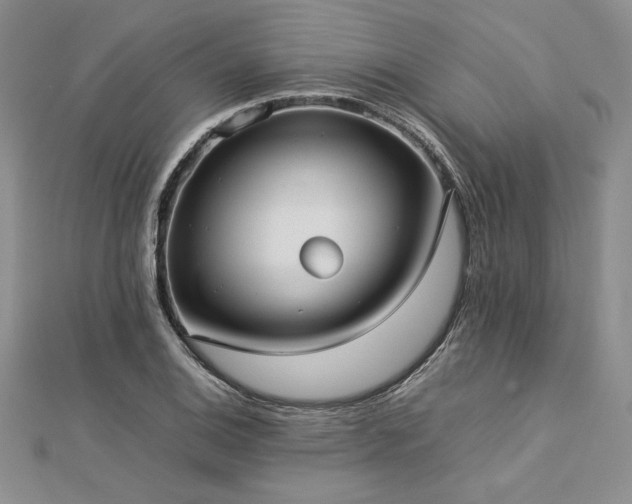 X0000113031124200908271449