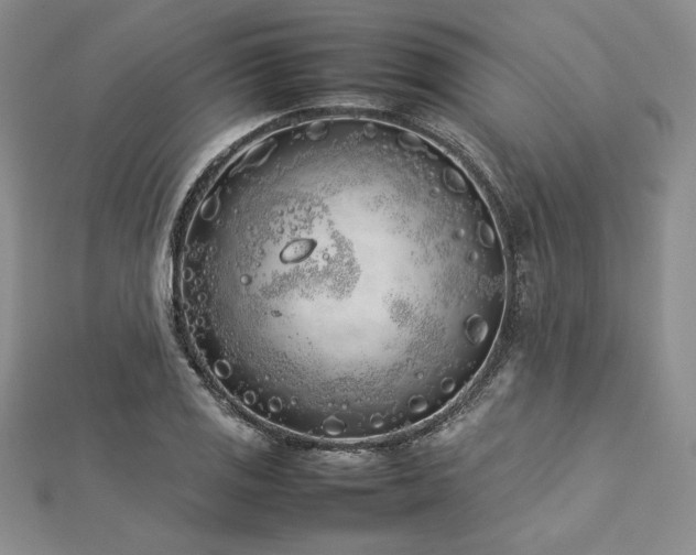 X0000113031125200908271449