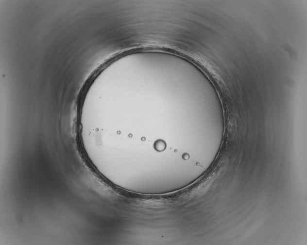 X0000113031126200908271449