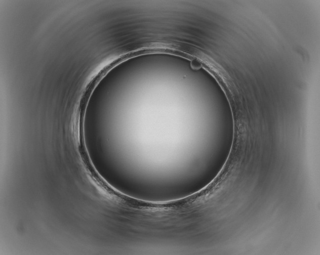 X0000113031127200908271449